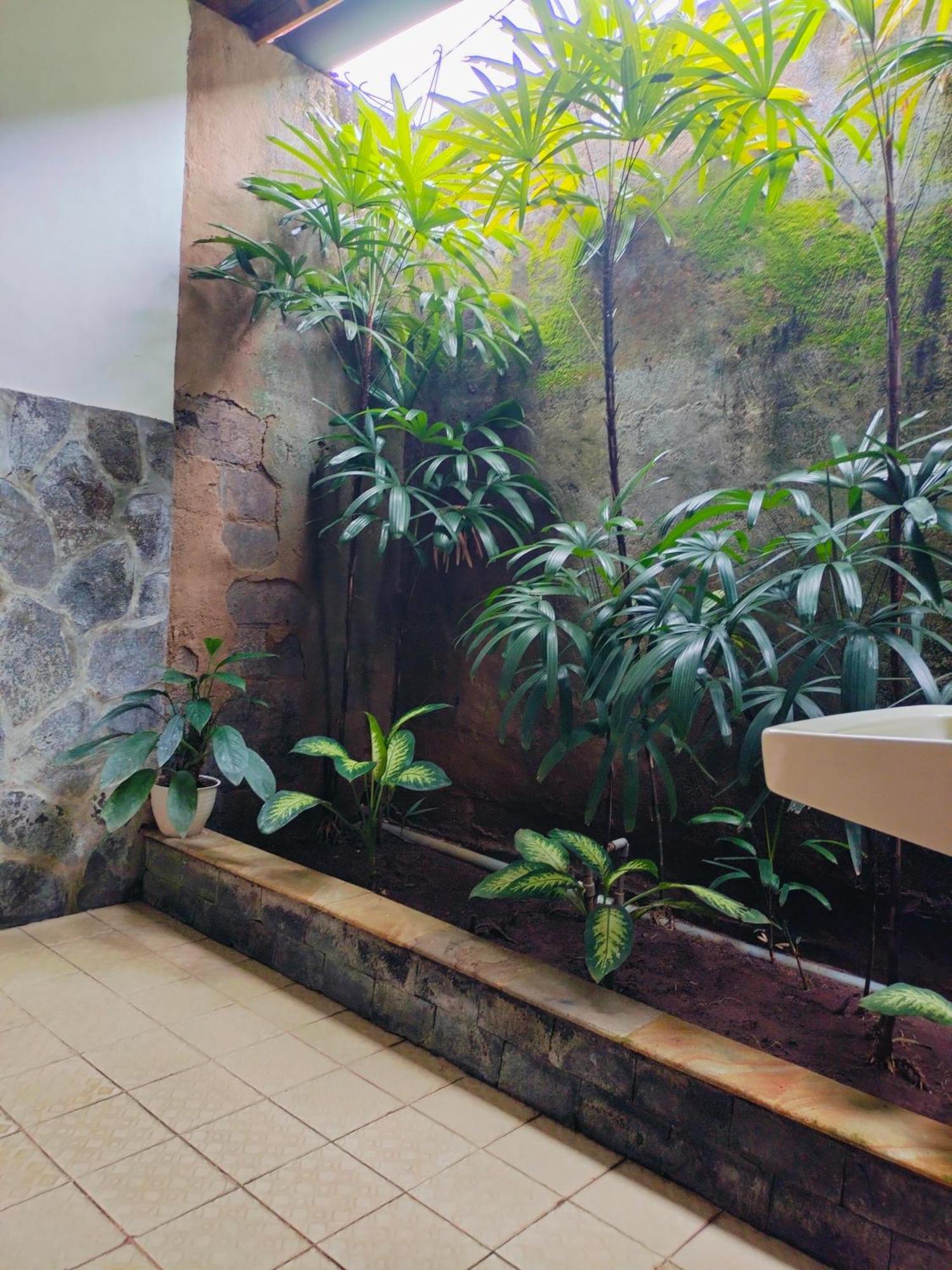 Bayumantra Bungalows Lovina Buitenkant foto