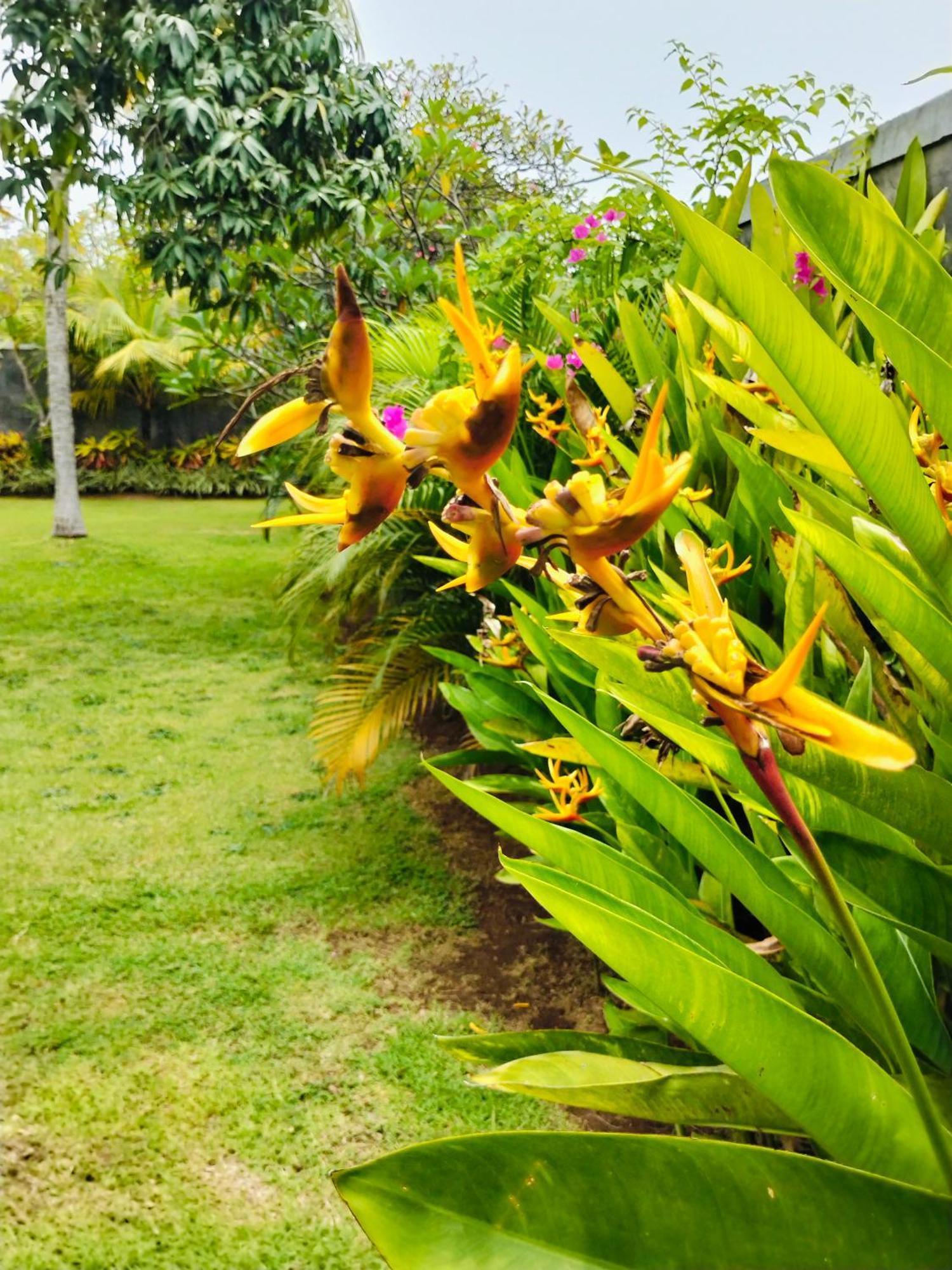 Bayumantra Bungalows Lovina Buitenkant foto